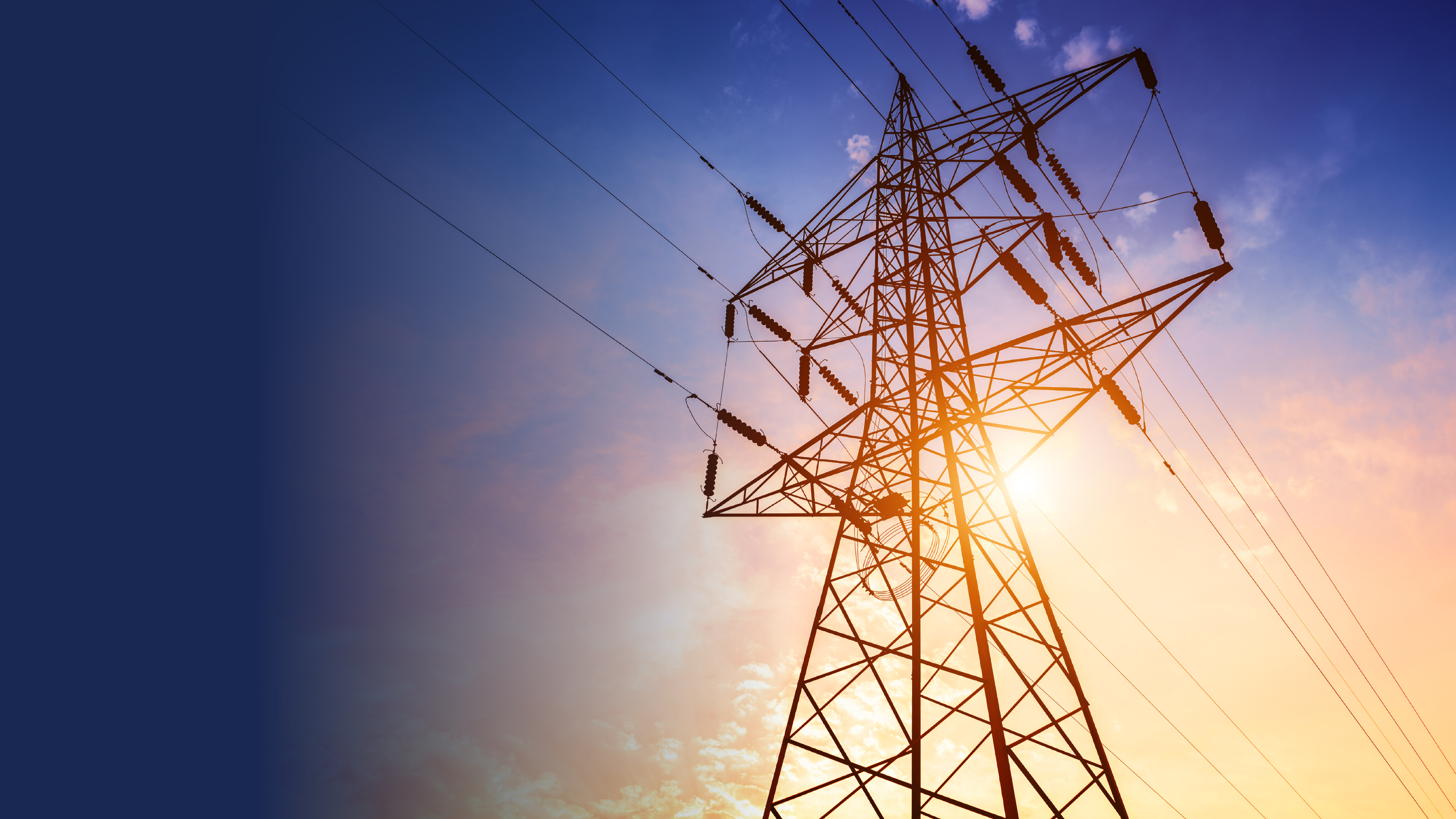 Belden Website banner Power Transmission & Distribution